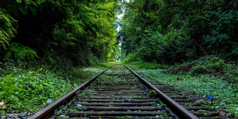 2024年数字资源精选：从QQBXX到编程教程的进阶学习指南