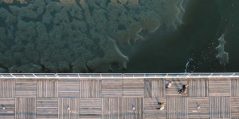 AI与机器学习如何重塑网络安全防护？前沿IT资讯与数字资源分享