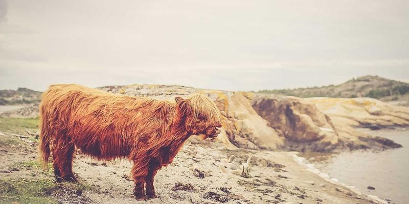 Wi-Fi 7标准深度解析：QQBXX编程教程与资源分享视角下的企业网络变革