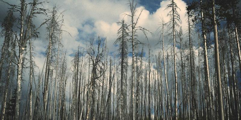 企业网络安全的未来：零信任安全模型分阶段实施全攻略 | IT资讯与网络技术深度解析