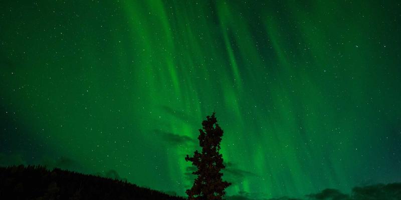 编程教程、QQBXX与IT资讯：网络技术资源的深度对比与选择指南