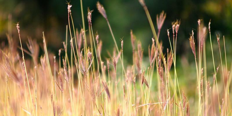 网络技术2024：从编程教程到软件开发，掌握IT资讯中的变革力量