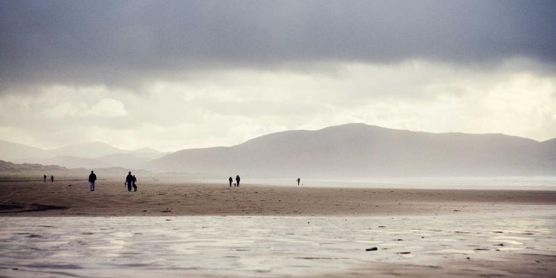 网络技术24：数字资源、分享生态与IT资讯的融合新纪元