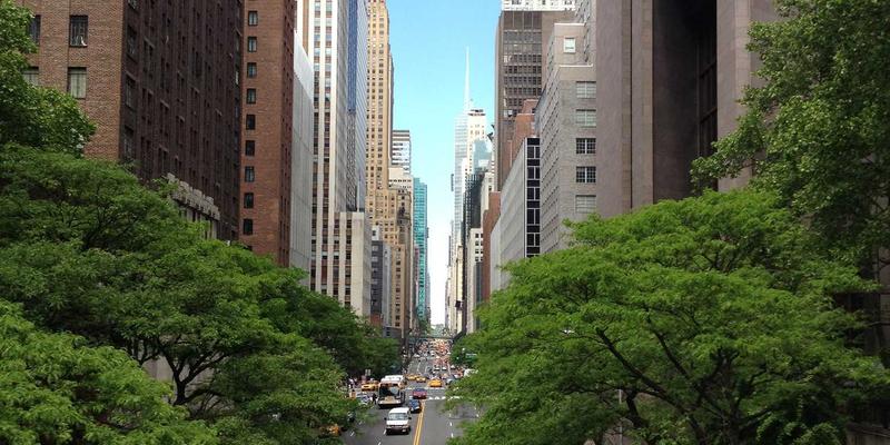 网络技术28：资源分享如何赋能软件开发与技术创新