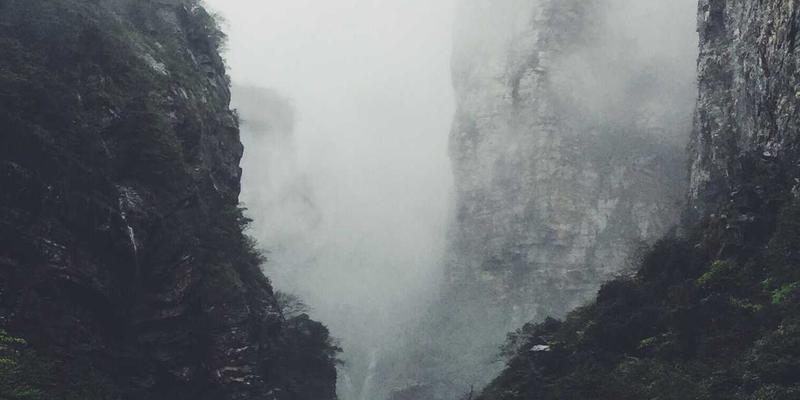 网络技术29：软件开发、数字资源与IT资讯的融合创新