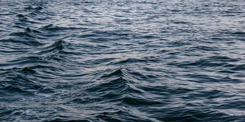 网络技术40：软件开发与资源分享的新纪元