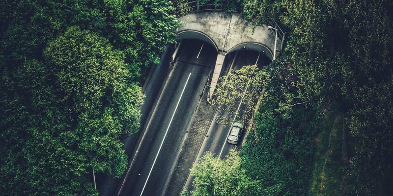 网络技术59：从编程教程到资源分享，解锁QQBXX的高效学习路径