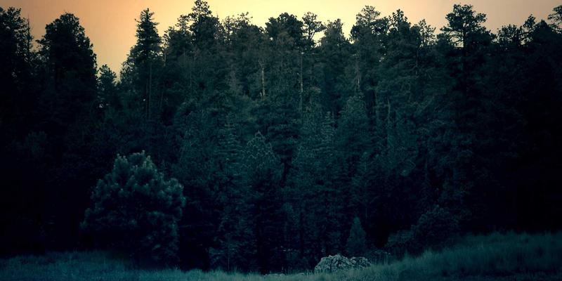 网络技术71：编程教程、网络技术与数字资源的融合新范式