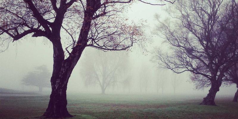 网络技术75：软件开发资源分享新纪元与QQBXX生态解析