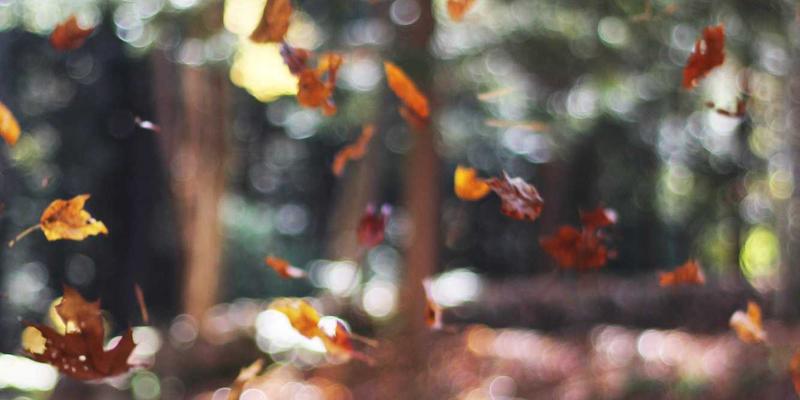 网络技术88：资源分享与IT资讯整合，驱动数字时代新浪潮