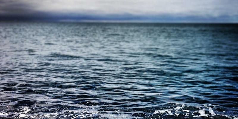 网络技术97时代：数字资源、编程教程与软件开发的融合进化