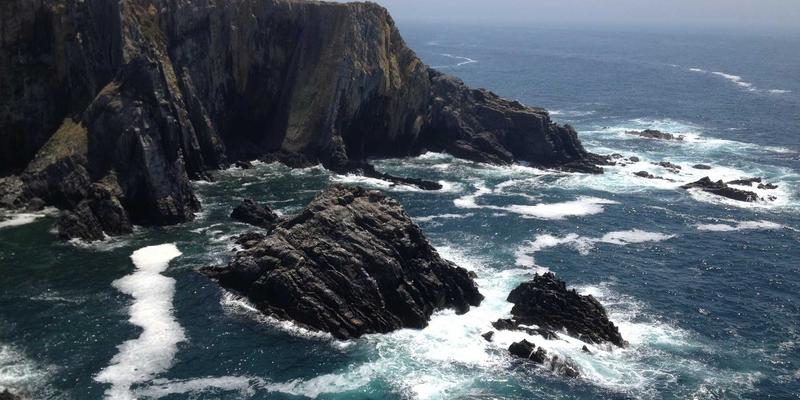 网络技术99：资源分享、软件开发与IT资讯的深度融合