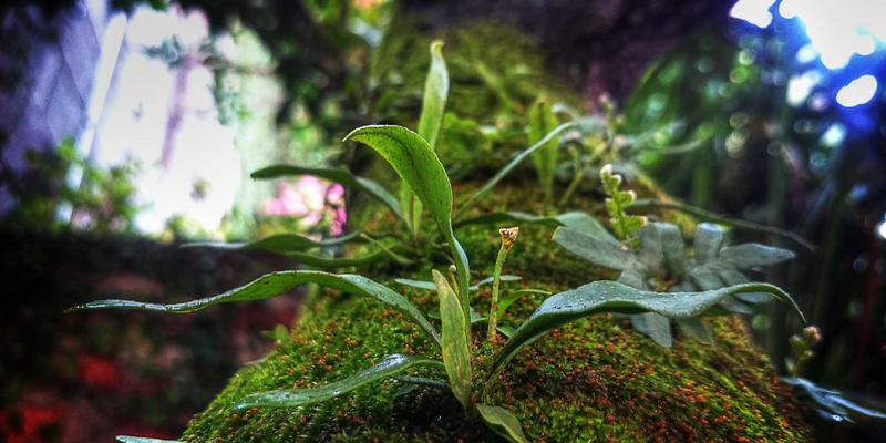 软件定义网络(SDN)如何重塑数据中心：释放数字资源潜力的网络技术革命