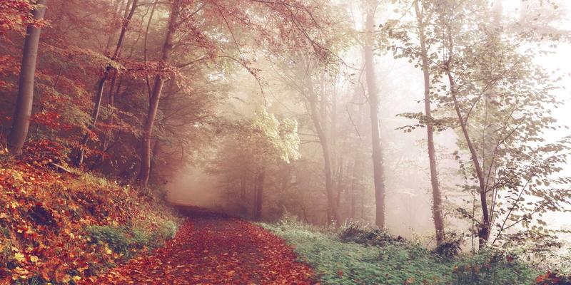 软件开发新前沿：网络切片在5G专网中的实践落地与数字资源优化