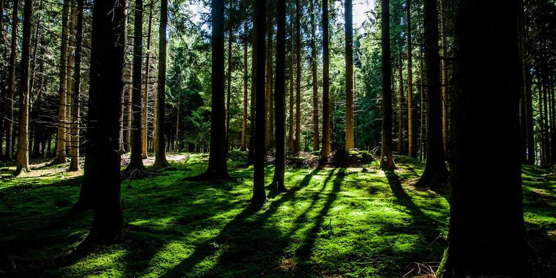 量子密钥分发(QKD)网络：原理、试点进展与未来通信安全蓝图 | 资源分享与编程教程